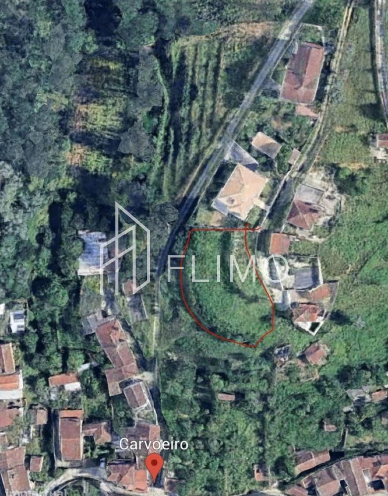 Terreno para Venda em Macinhata do Vouga Foto 1