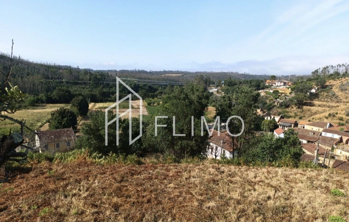 Terreno para Venda em Macinhata do Vouga Foto 7