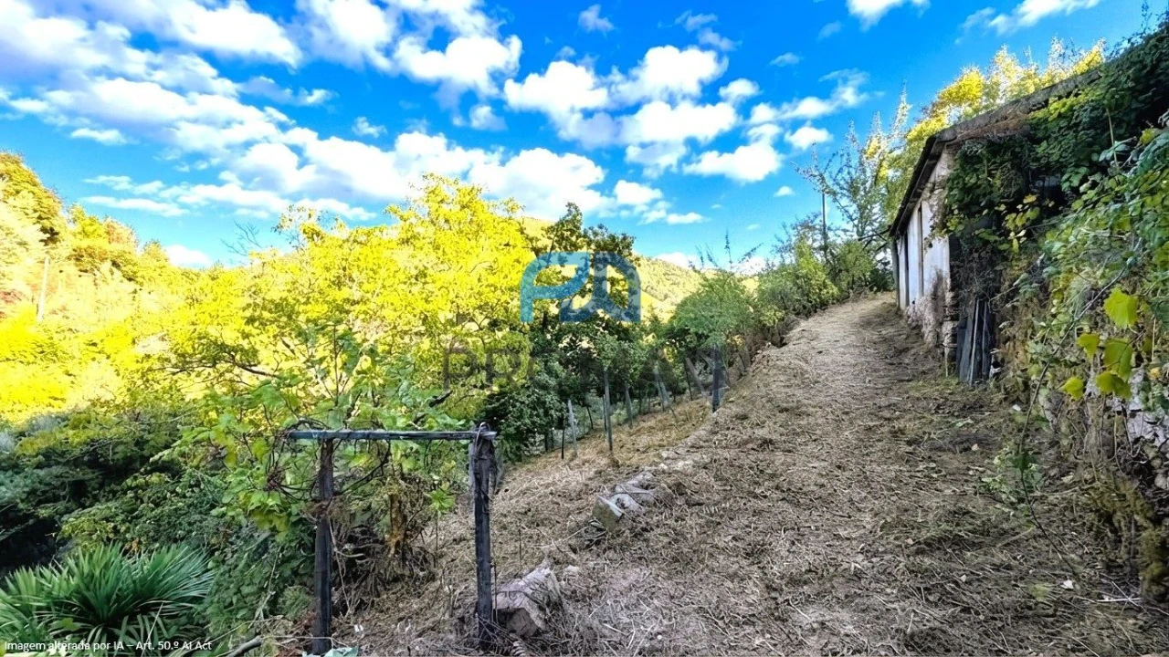 Moradia T4 para Venda em Loivos da Ribeira e Tresouras Foto 50