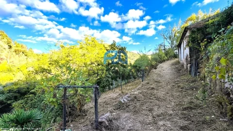 Moradia T4 para Venda em Loivos da Ribeira e Tresouras