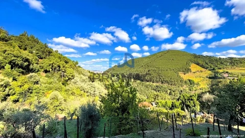 Moradia T4 para Venda em Loivos da Ribeira e Tresouras