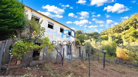 Moradia T4 para Venda em Loivos da Ribeira e Tresouras