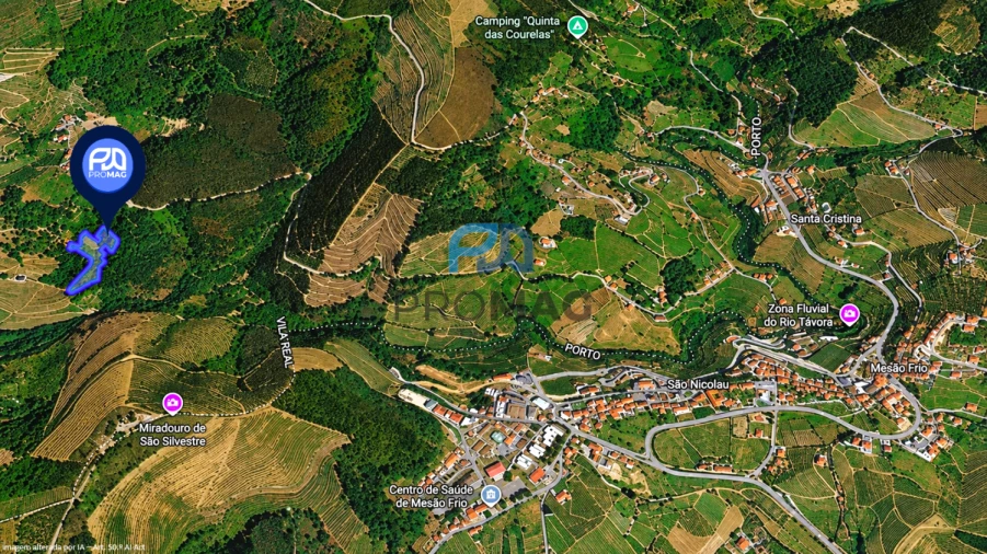 Moradia T4 para Venda em Loivos da Ribeira e Tresouras Foto 63