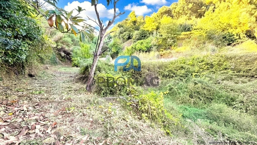 Moradia T4 para Venda em Loivos da Ribeira e Tresouras Foto 51