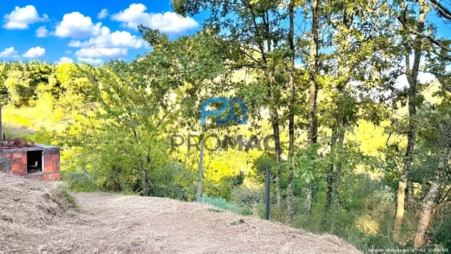Moradia T4 para Venda em Loivos da Ribeira e Tresouras Foto 46