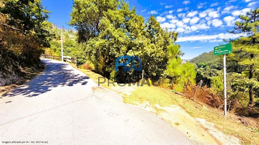 Moradia T4 para Venda em Loivos da Ribeira e Tresouras Foto 5