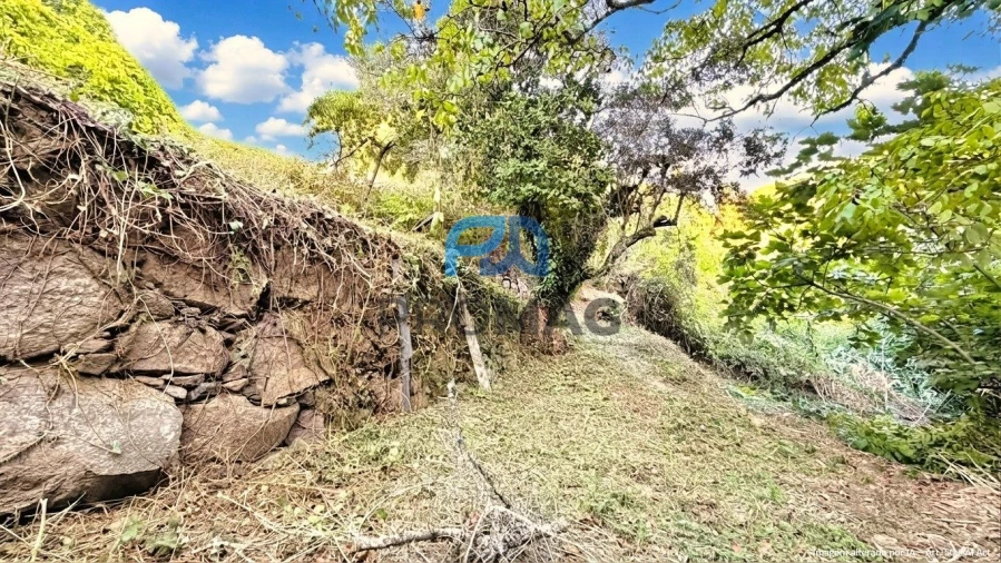 Moradia T4 para Venda em Loivos da Ribeira e Tresouras Foto 54