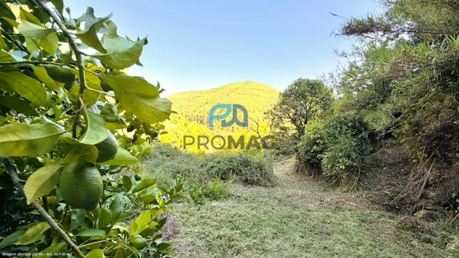 Moradia T4 para Venda em Loivos da Ribeira e Tresouras Foto 56