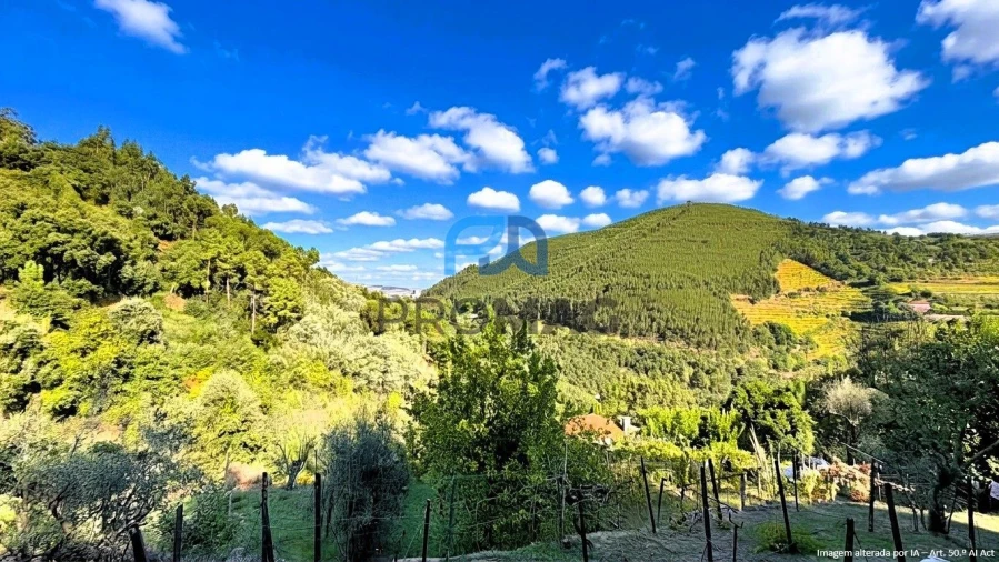 Moradia T4 para Venda em Loivos da Ribeira e Tresouras Foto 12