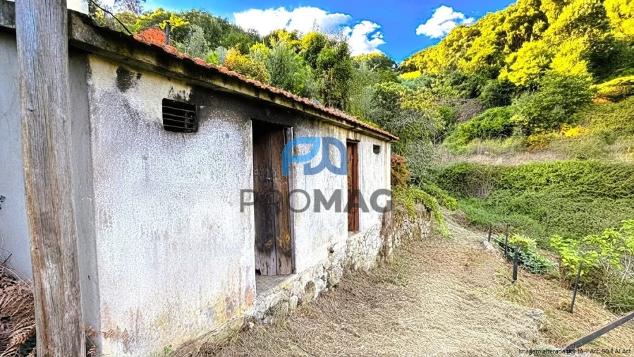 Moradia T4 para Venda em Loivos da Ribeira e Tresouras Foto 47