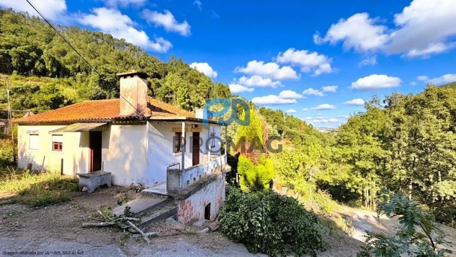 Moradia T4 para Venda em Loivos da Ribeira e Tresouras Foto 14