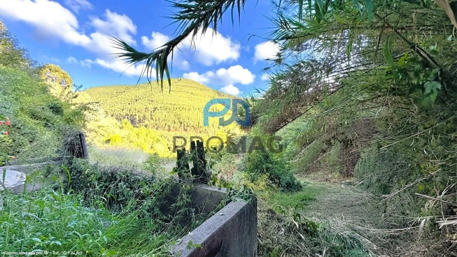 Moradia T4 para Venda em Loivos da Ribeira e Tresouras Foto 52