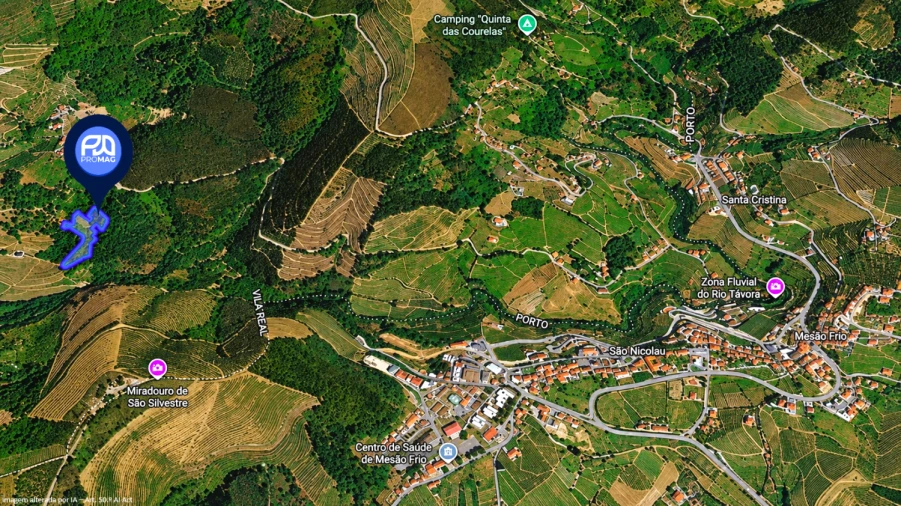 Moradia T4 para Venda em Loivos da Ribeira e Tresouras Planta 4
