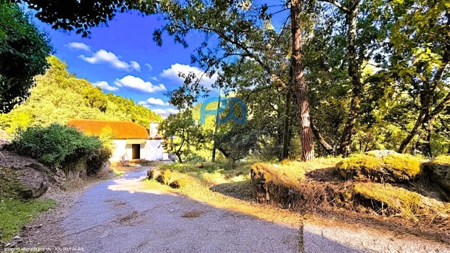 Moradia T4 para Venda em Loivos da Ribeira e Tresouras Foto 8