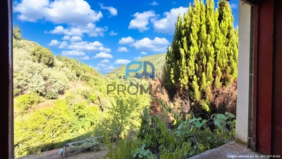Moradia T4 para Venda em Loivos da Ribeira e Tresouras Foto 27