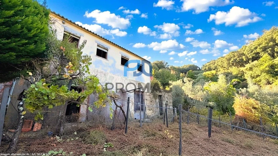 Moradia T4 para Venda em Loivos da Ribeira e Tresouras Foto 45