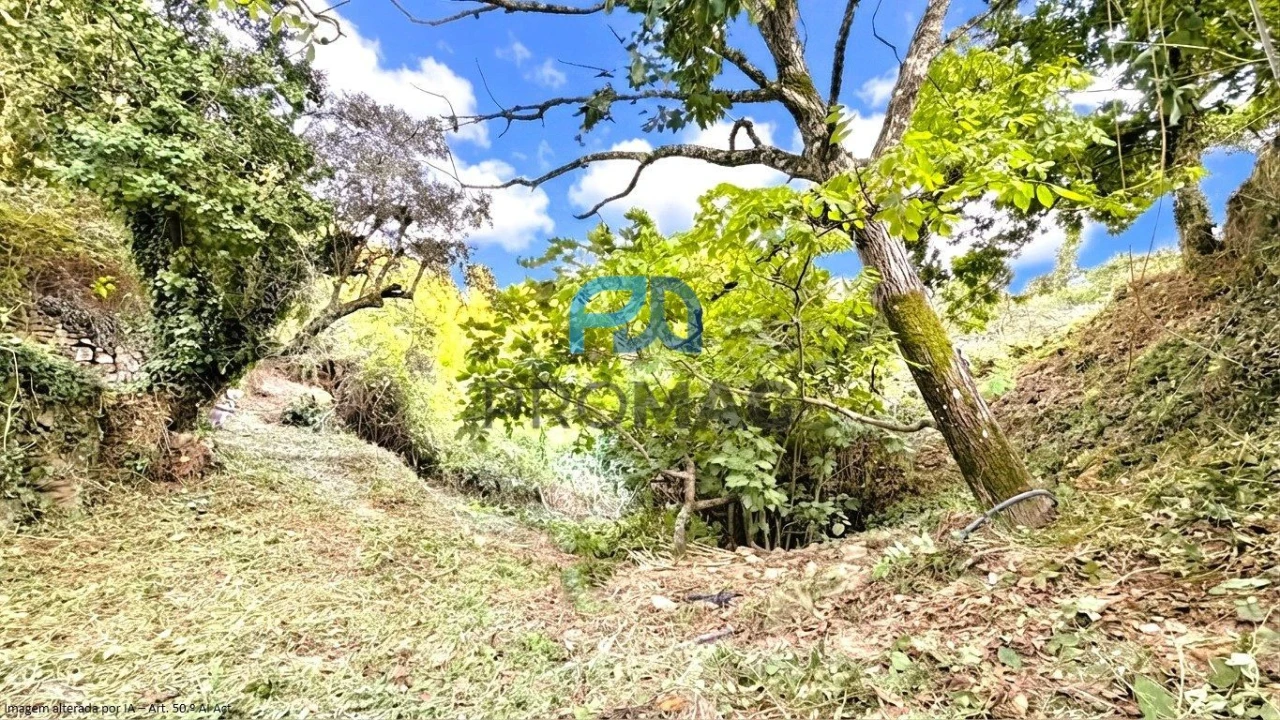Moradia T4 para Venda em Loivos da Ribeira e Tresouras Foto 55