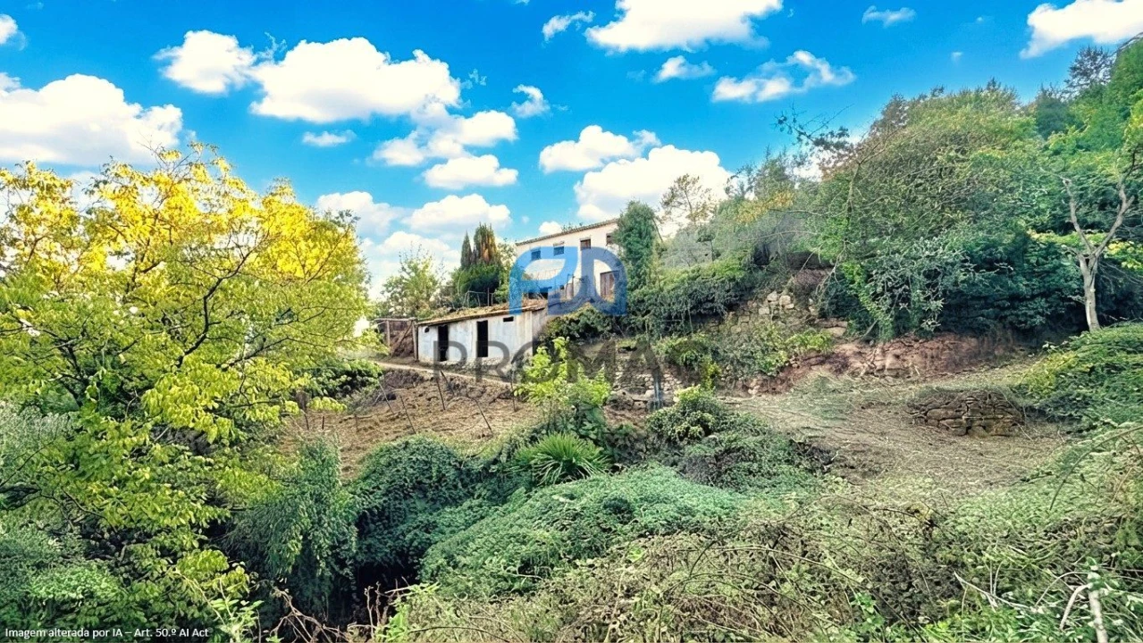 Moradia T4 para Venda em Loivos da Ribeira e Tresouras Foto 53
