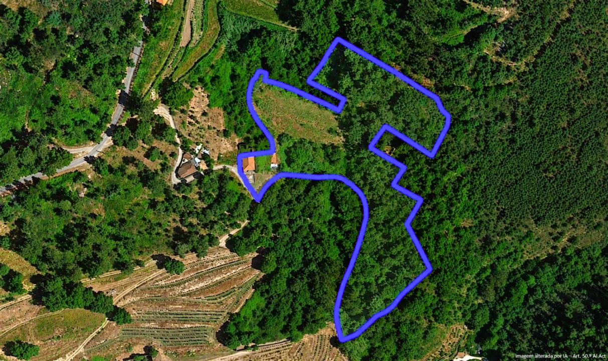 Moradia T4 para Venda em Loivos da Ribeira e Tresouras Planta 2