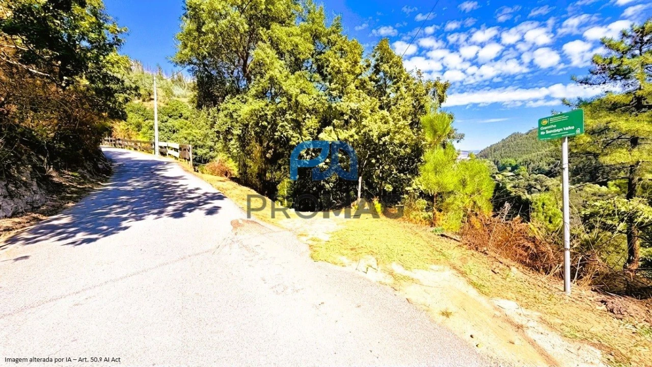 Moradia T4 para Venda em Loivos da Ribeira e Tresouras Foto 5