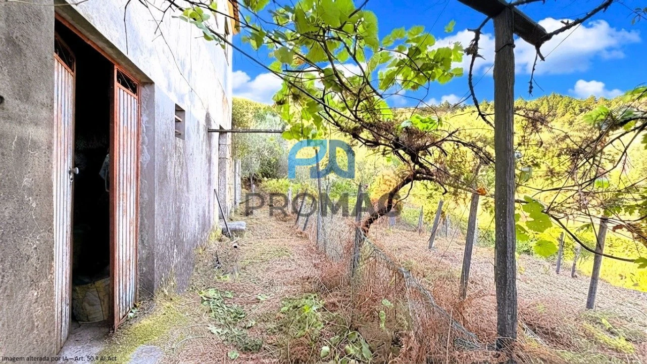 Moradia T4 para Venda em Loivos da Ribeira e Tresouras Foto 40