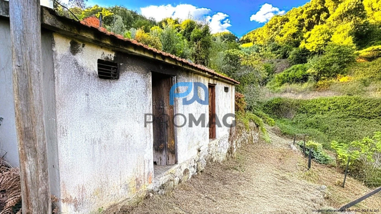 Moradia T4 para Venda em Loivos da Ribeira e Tresouras Foto 47