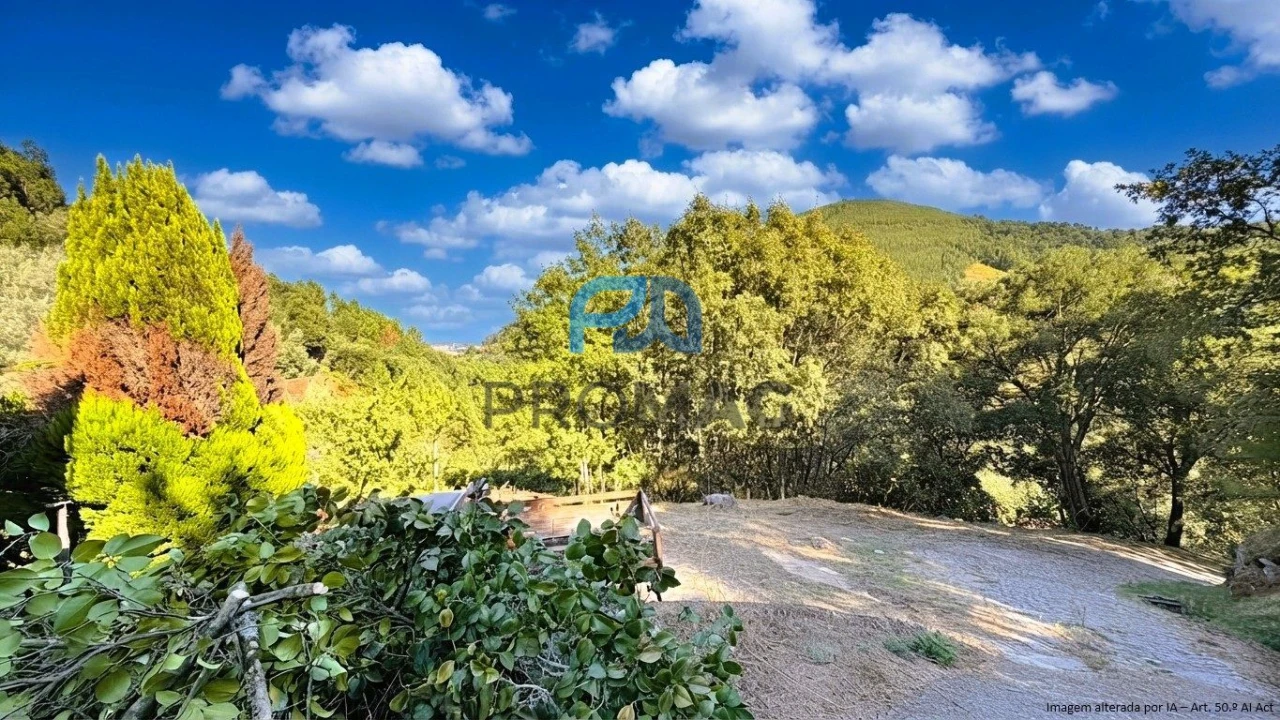 Moradia T4 para Venda em Loivos da Ribeira e Tresouras Foto 9