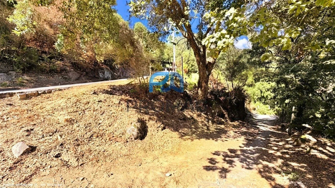 Moradia T4 para Venda em Loivos da Ribeira e Tresouras Foto 6