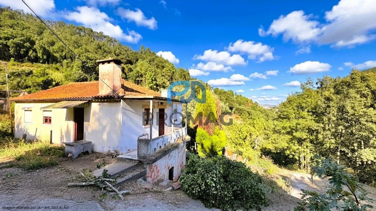 Moradia T4 para Venda em Loivos da Ribeira e Tresouras Foto 14