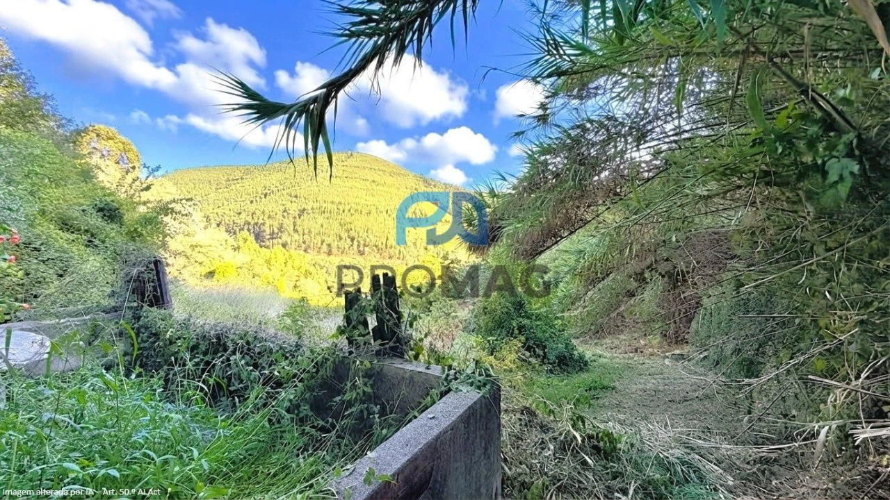 Moradia T4 para Venda em Loivos da Ribeira e Tresouras Foto 52