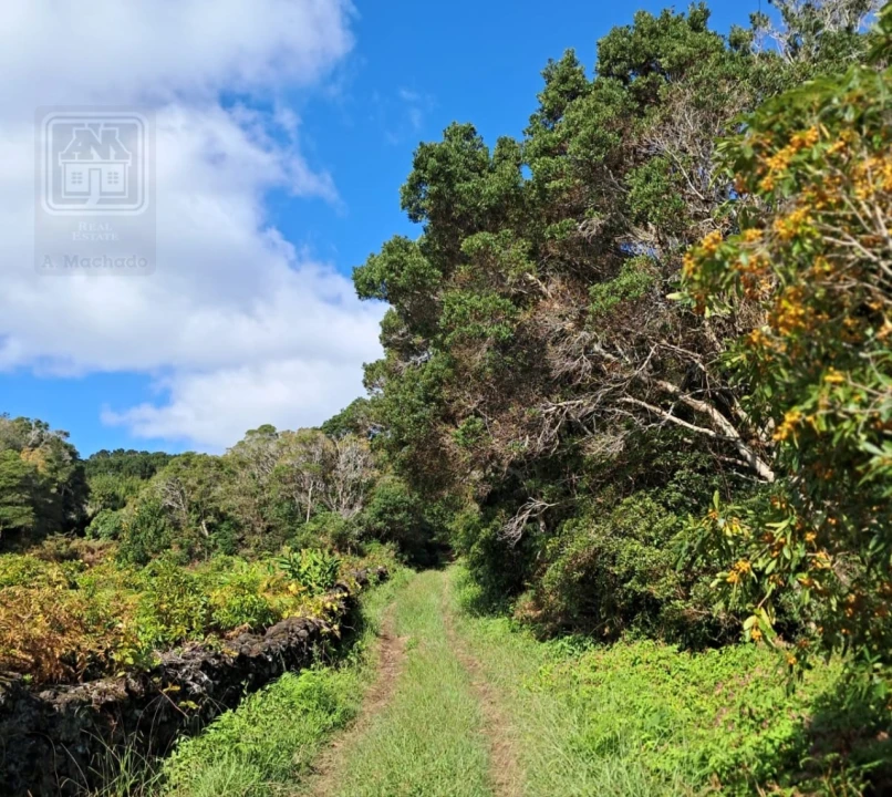 Terreno para Venda em Piedade Foto 2