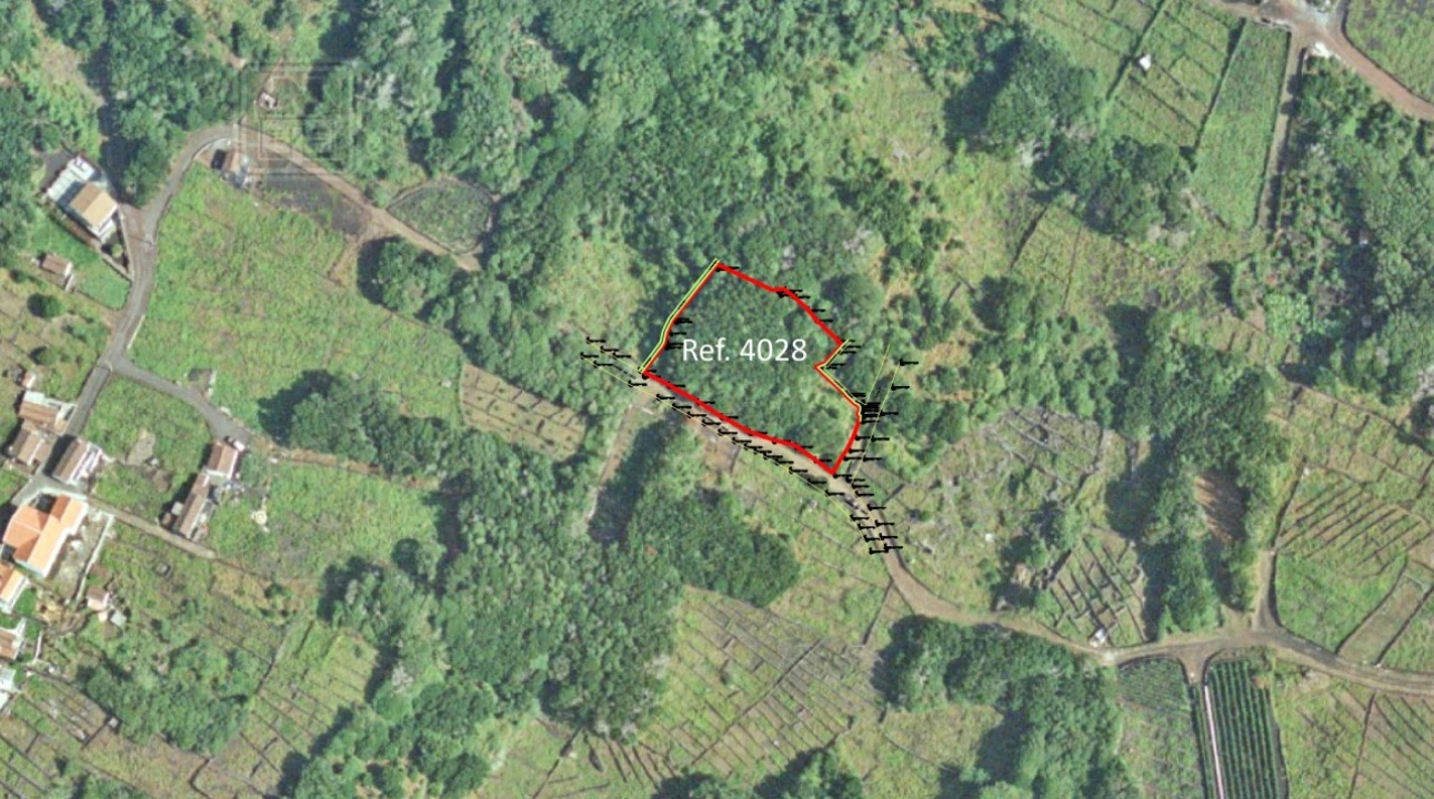 Terreno para Venda em Piedade Foto 8