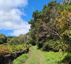 Terreno para Venda em Piedade