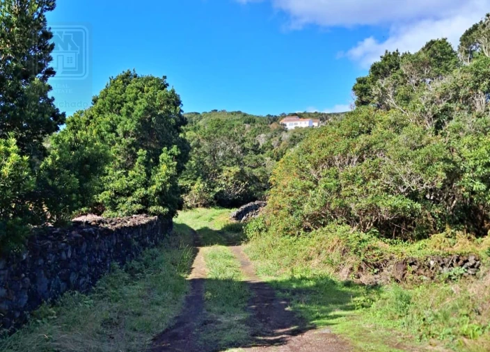 Terreno para Venda em Piedade Foto 4