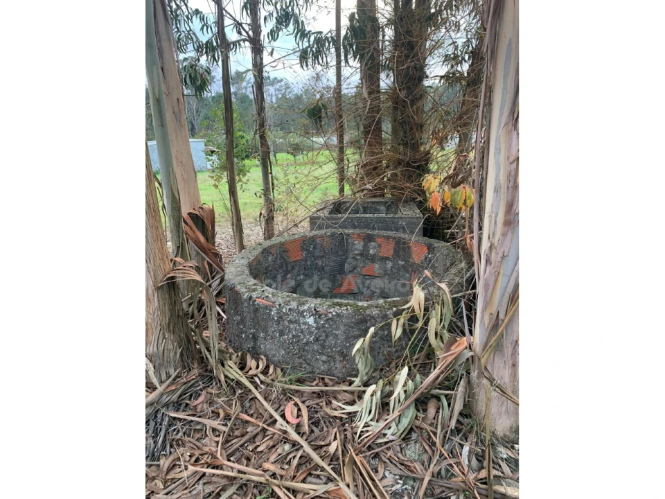 Terreno Agricola ou Rústico para Venda em Oiã Foto 2