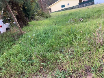 Terreno Agricola ou Rústico para Venda em Oiã
