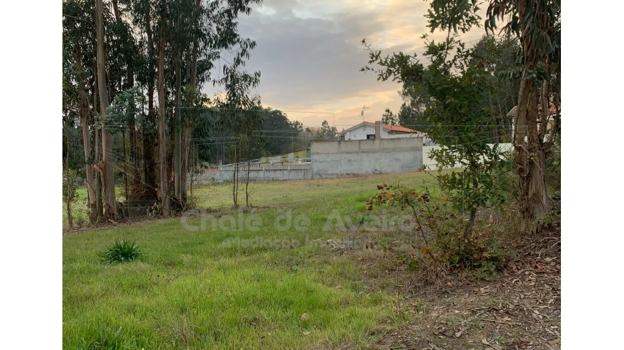 Terreno Agricola ou Rústico para Venda em Oiã