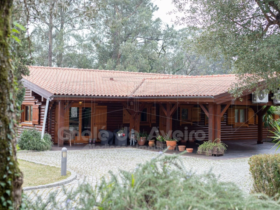 Quinta T9 para Venda em O. Azeméis, Riba-Ul, Ul, Macinhata Seixa, Madail Foto 24