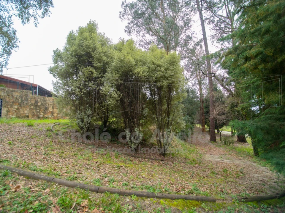 Quinta T9 para Venda em O. Azeméis, Riba-Ul, Ul, Macinhata Seixa, Madail Foto 58