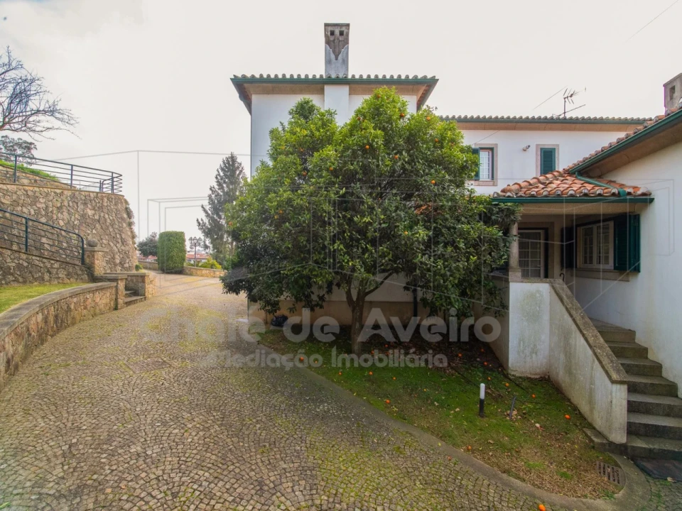 Quinta T9 para Venda em O. Azeméis, Riba-Ul, Ul, Macinhata Seixa, Madail Foto 6