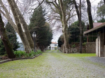 Quinta T9 para Venda em O. Azeméis, Riba-Ul, Ul, Macinhata Seixa, Madail
