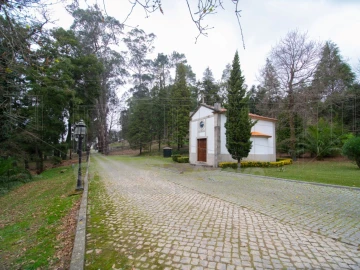 Quinta T9 para Venda em O. Azeméis, Riba-Ul, Ul, Macinhata Seixa, Madail