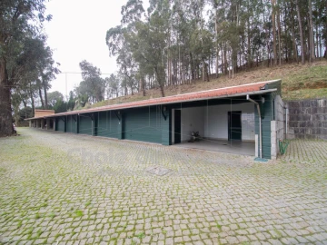 Quinta T9 para Venda em O. Azeméis, Riba-Ul, Ul, Macinhata Seixa, Madail