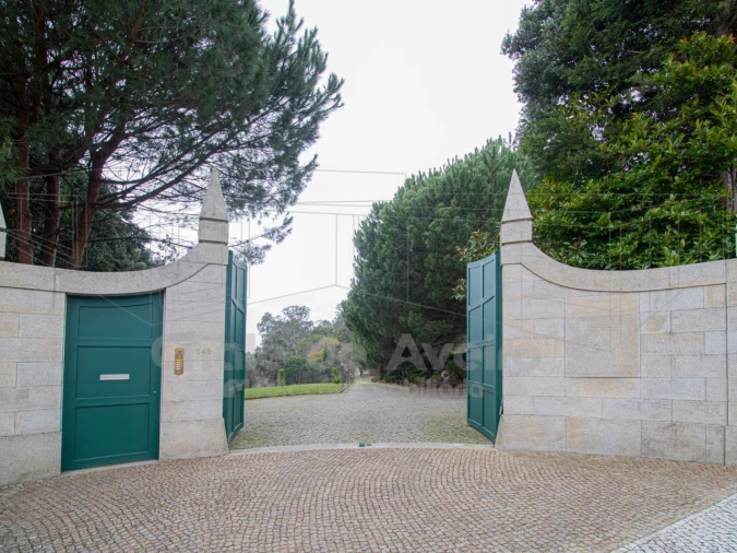 Quinta T9 para Venda em O. Azeméis, Riba-Ul, Ul, Macinhata Seixa, Madail Foto 60