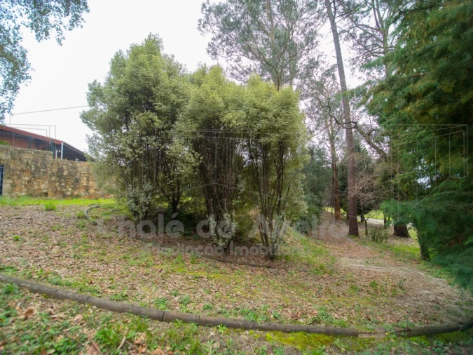 Quinta T9 para Venda em O. Azeméis, Riba-Ul, Ul, Macinhata Seixa, Madail Foto 58