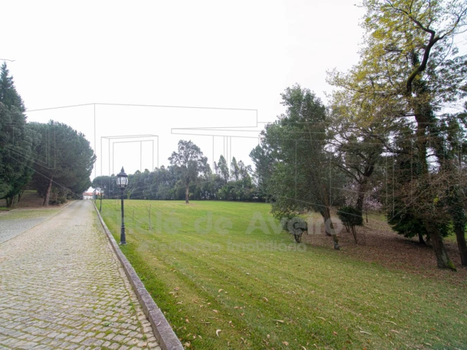 Quinta T9 para Venda em O. Azeméis, Riba-Ul, Ul, Macinhata Seixa, Madail Foto 56