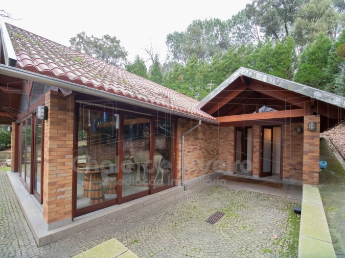 Quinta T9 para Venda em O. Azeméis, Riba-Ul, Ul, Macinhata Seixa, Madail Foto 28