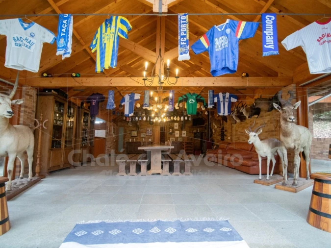 Quinta T9 para Venda em O. Azeméis, Riba-Ul, Ul, Macinhata Seixa, Madail Foto 35