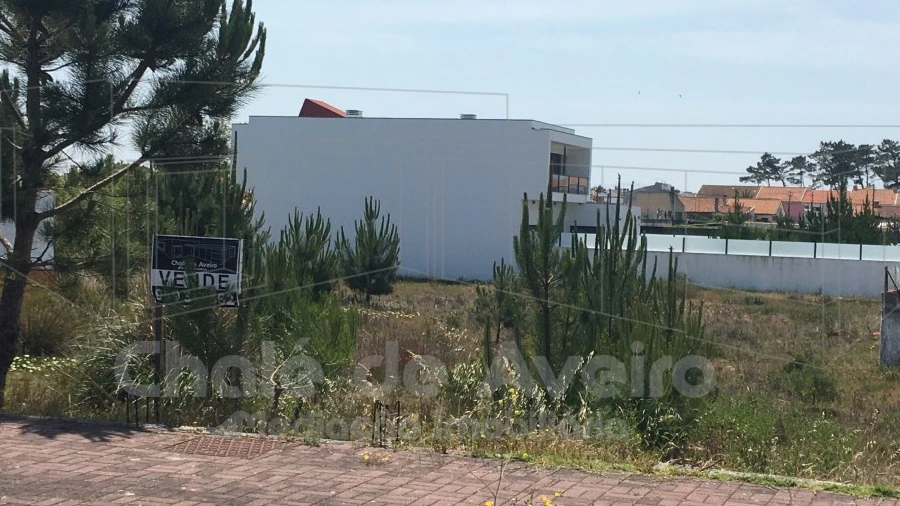 Terreno para Venda em São Jacinto