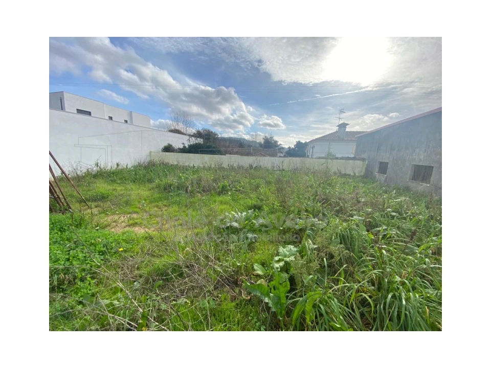 Moradia T3 para Venda em Pinheiro da Bemposta, Travanca e Palmaz Foto 25